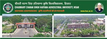 the chaudhari charan singh haryana agriculture universities